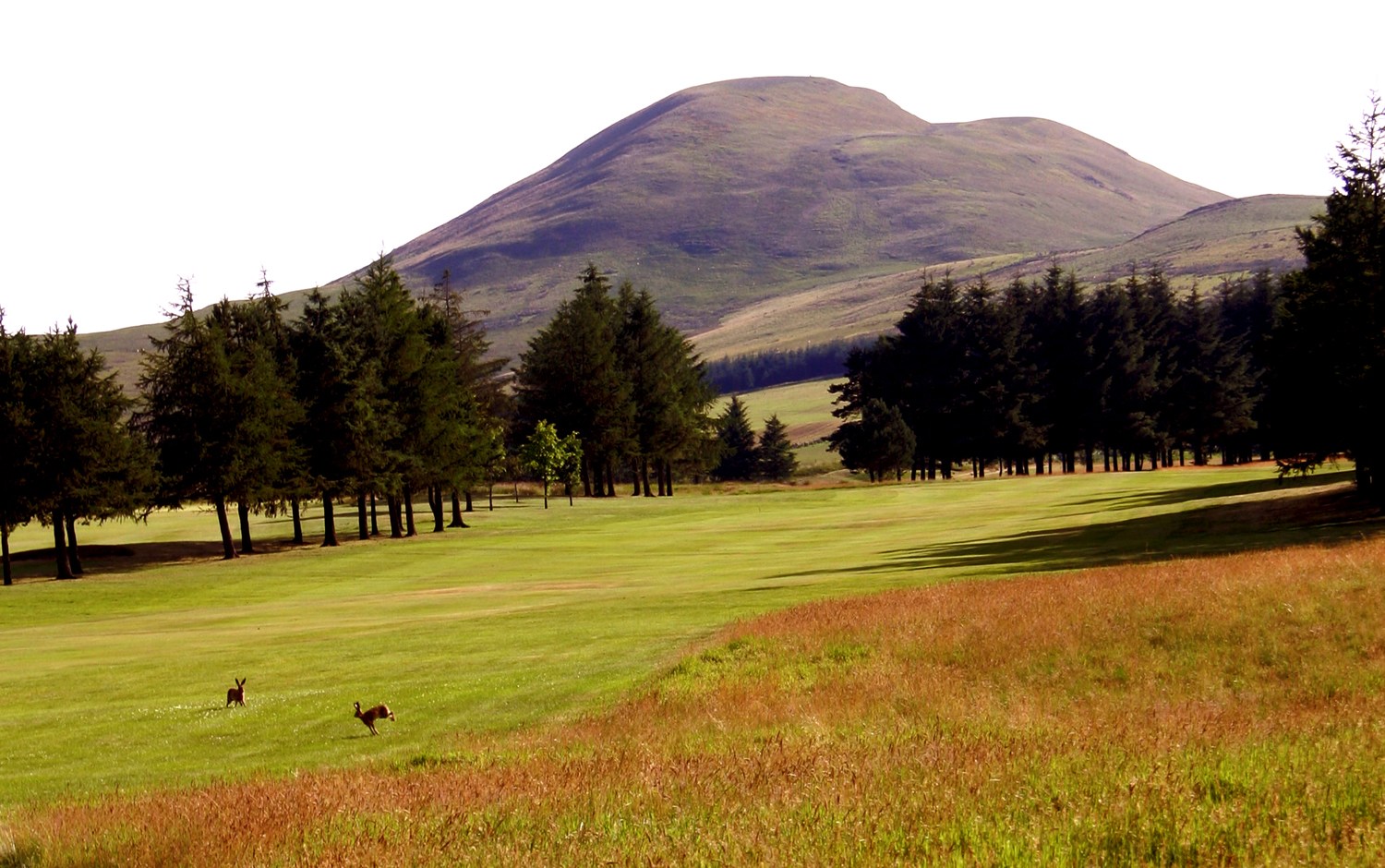 The Course - West Linton Golf Club