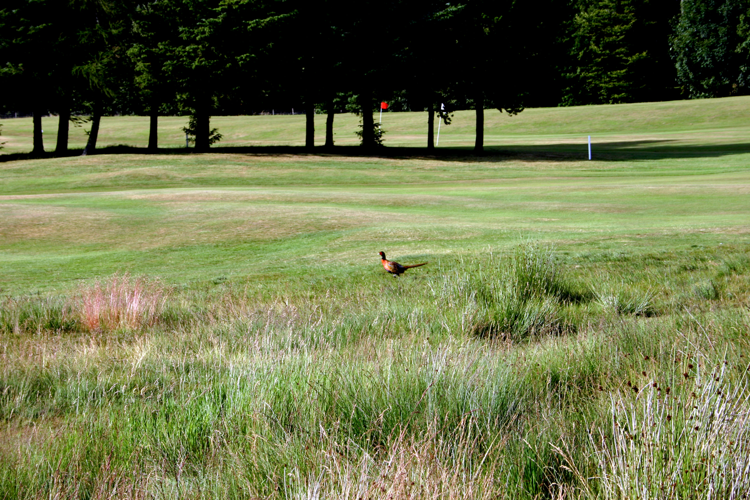The Course West Linton Golf Club